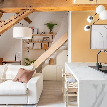 Apartamento Le Cosy - Loft Sublime Plein Centre De *